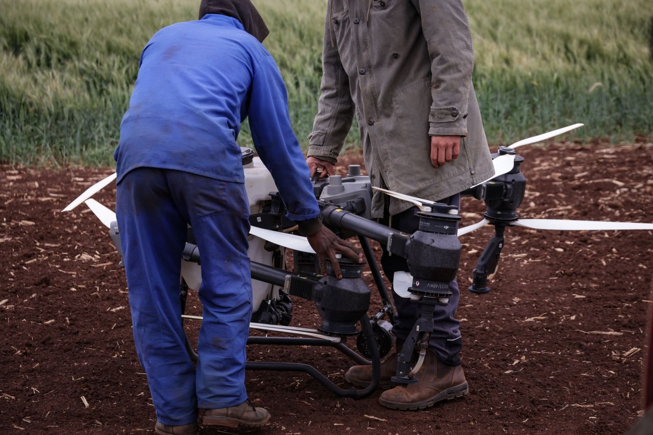 Two farmers working with a drone for crop surveillance in a field, showcasing modern agricultural technology.